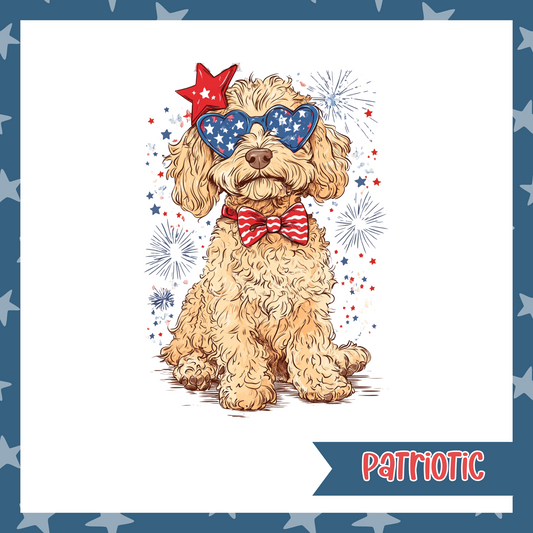 USA Goldendoodle