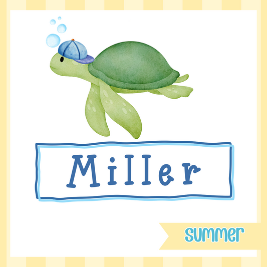 Cutie Turtle, Boy
