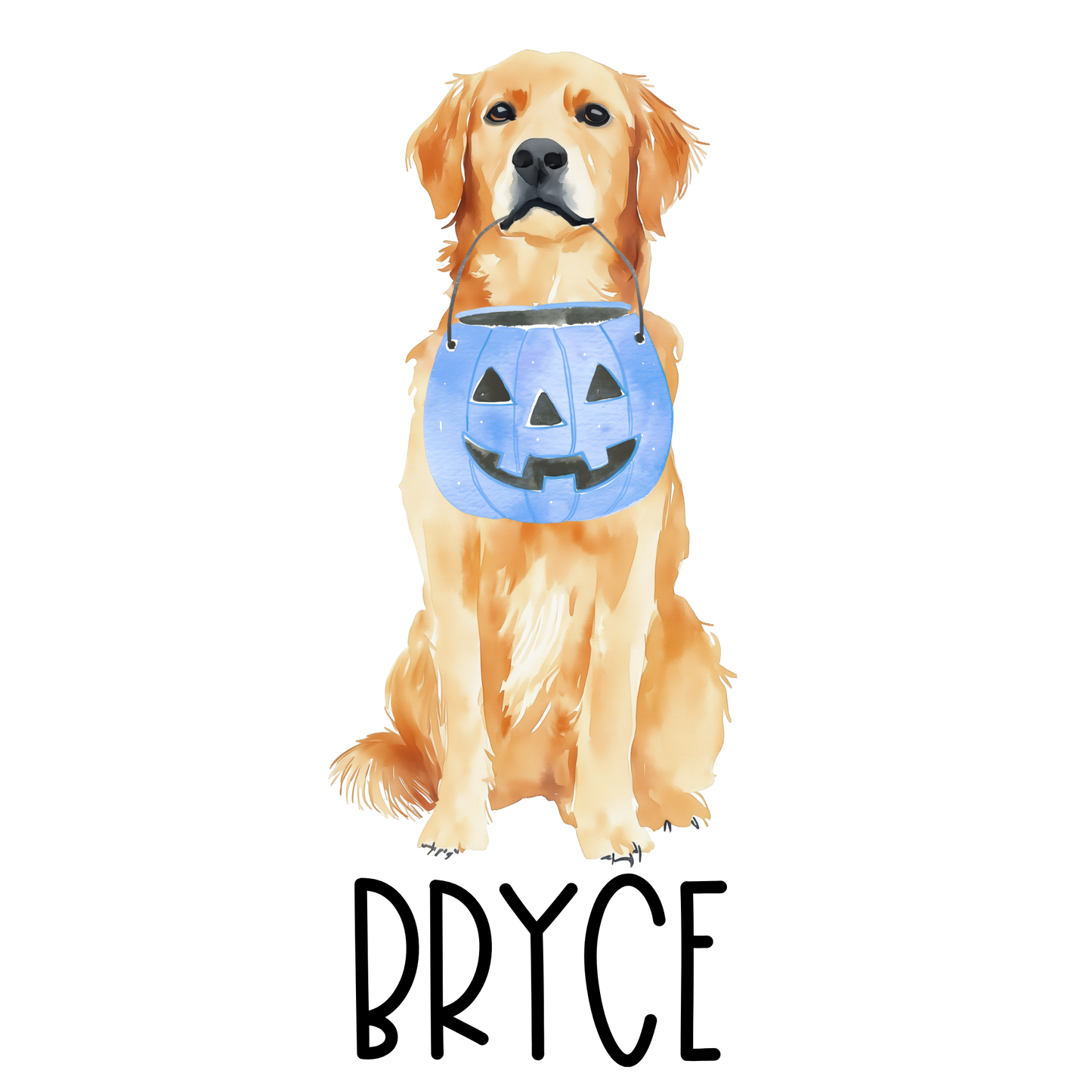 Halloween Golden Retriever, Boy