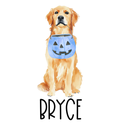 Halloween Golden Retriever, Boy